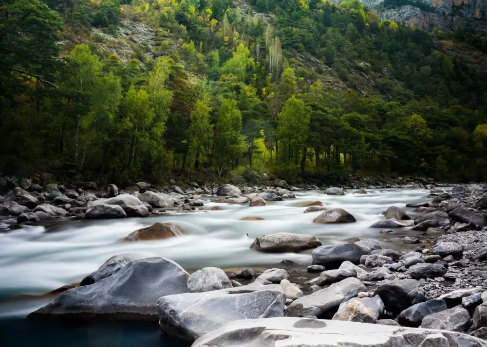 vidange fossées (3)webp
