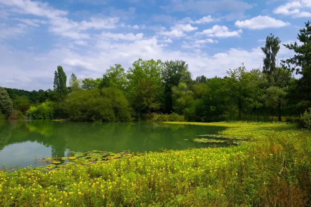 AVD environnement (28)